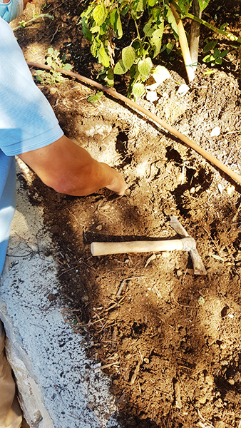 Producto-local-illetas-2