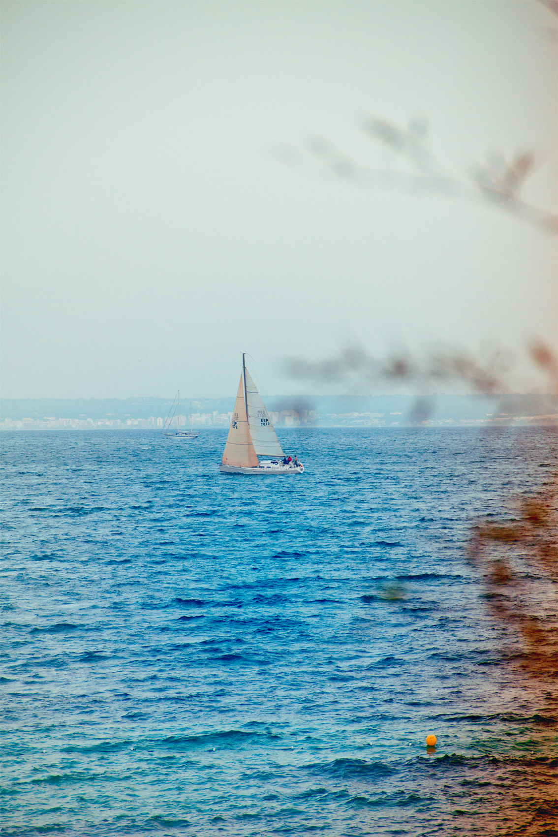 _MG_1016 as Smart Object-1 copy