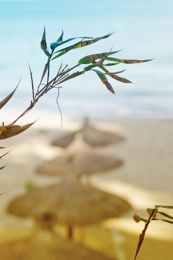 Fashion trends in Mallorca | Balneario Illetas Fashion trends in Mallorca | Balneario Illetas