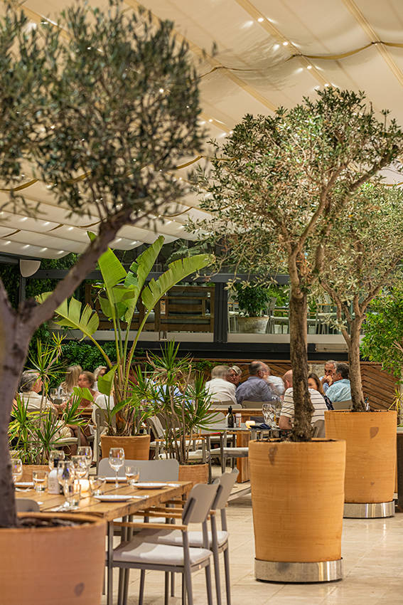 actividades-acuaticas-en-mallorca-balneario-illetas-comida-(2)