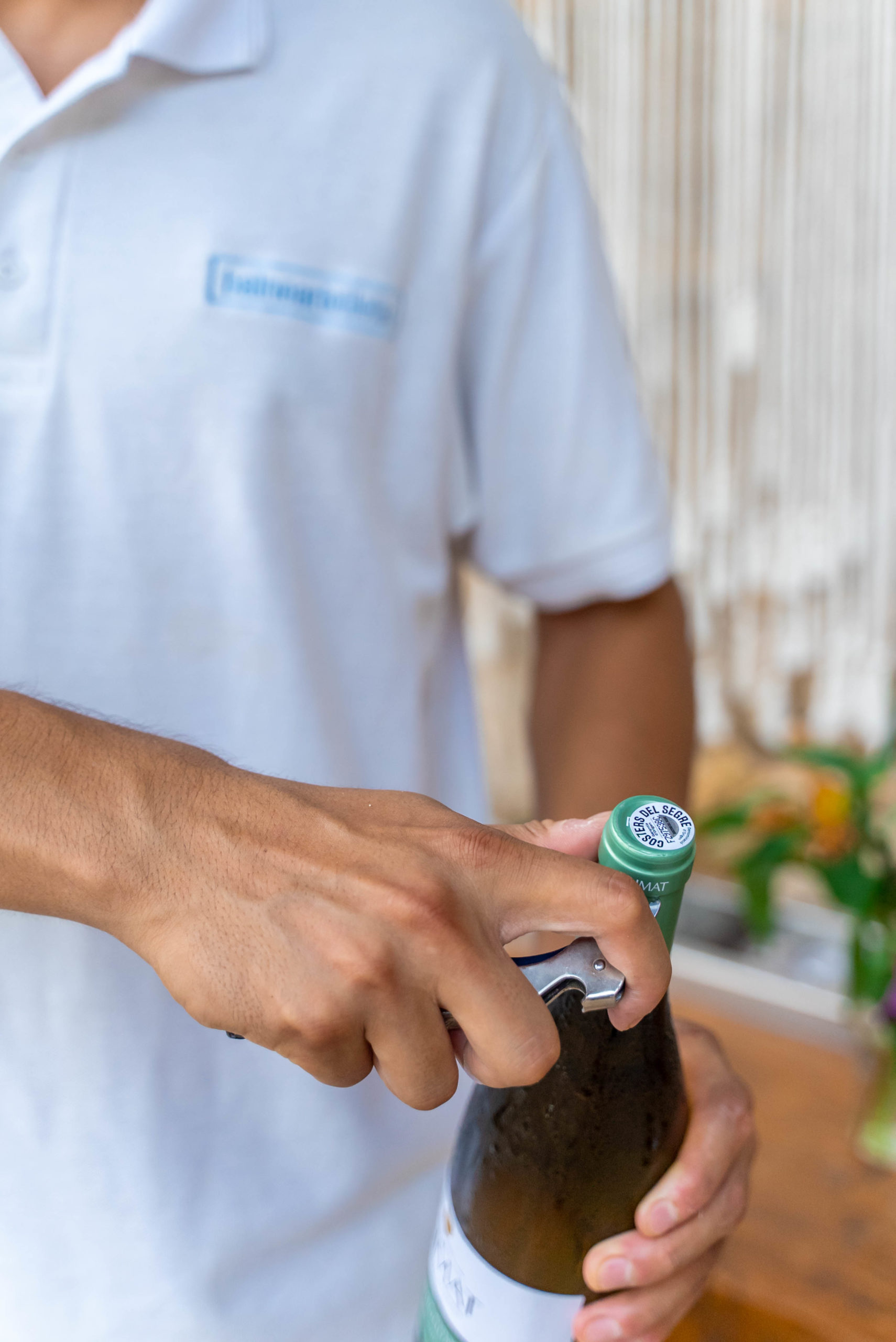 guia-vinicola-mallorca-balneario-illetas3